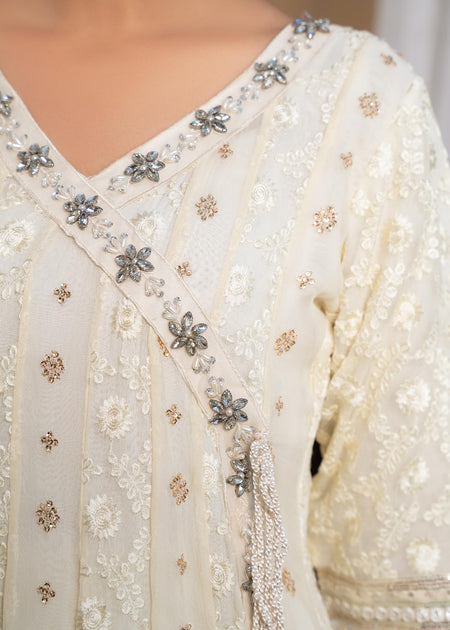 Malhaar Chiffon Embroidered Ready-to-wear Formal Dress 046