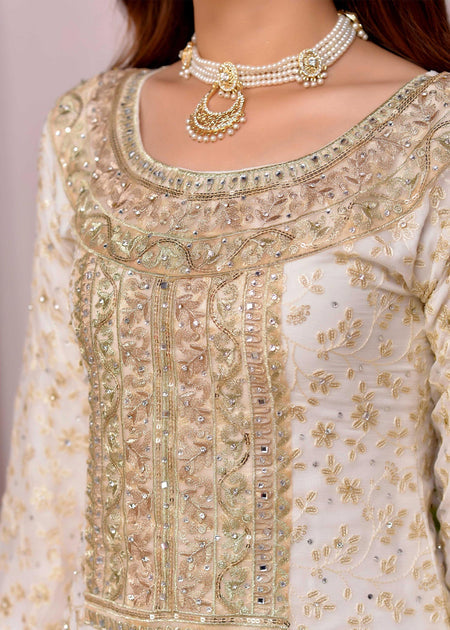 Haseens Beautiful Gharara 045